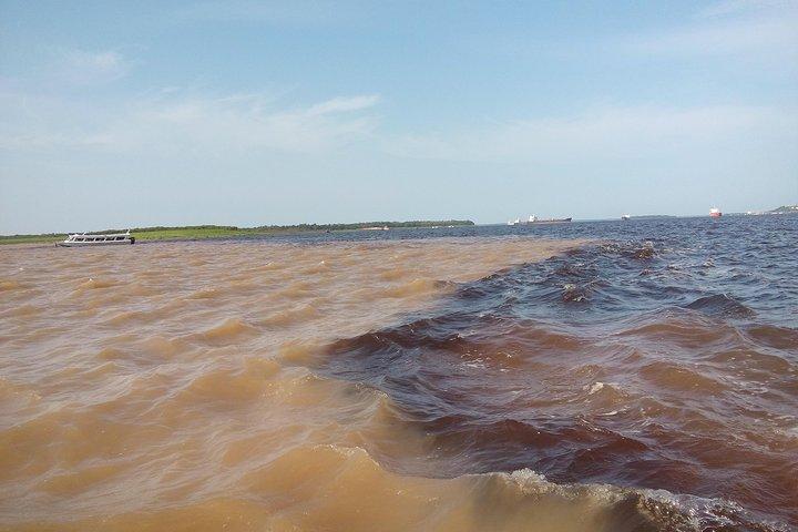 Amazon Adventure Trip 4D/3N at Tapiri Anavilhanas Lodge