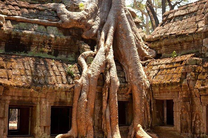 Angkor Wat Private Day Tour