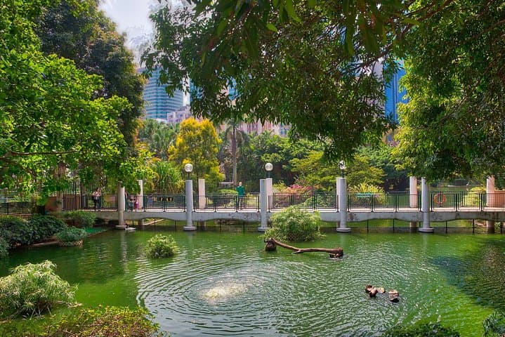 Private Tour: Customized 6-Hour Hong Kong City Tour