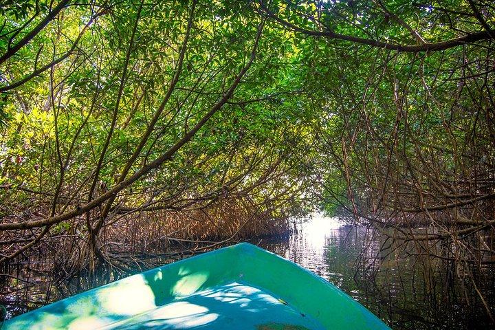Highlights Of South Srilanka Day Tour From Colombo