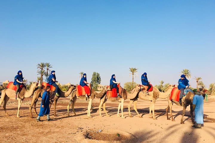 Camel ride tour in Marrakech