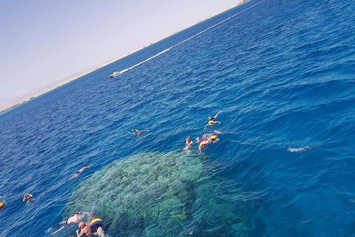 Trip To Dolphin House and Banana Boat Fun from Hurghada