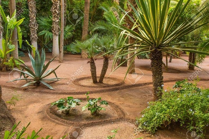 Enjoy Paradise valley trip with guide ®