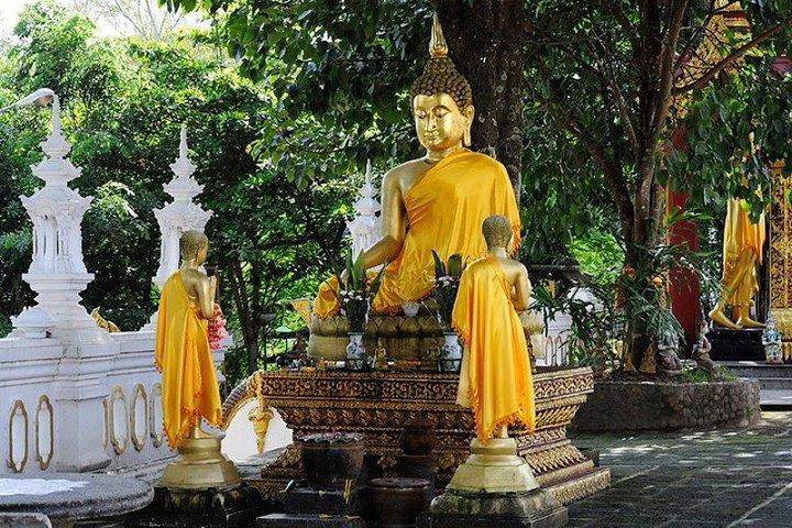 Chiang Rai All-Inclusive Tour: White & Blue Temples + Long Neck