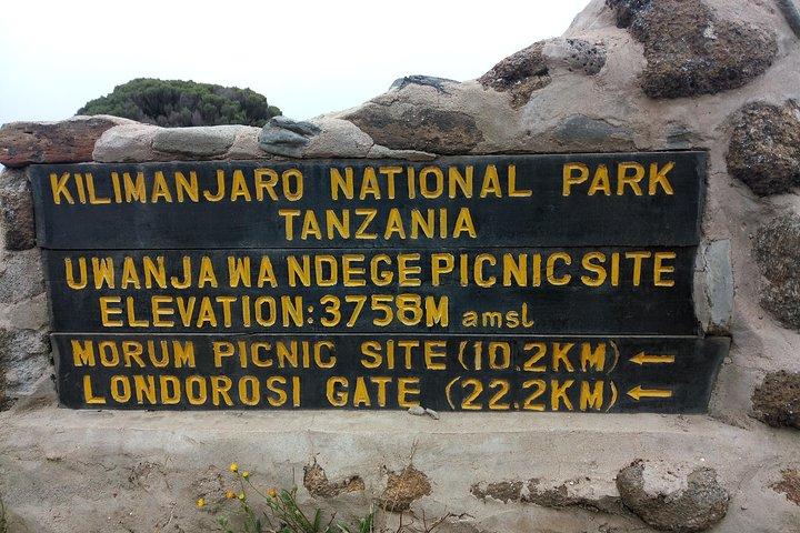 Mt. Kilimanjaro Day Hiking