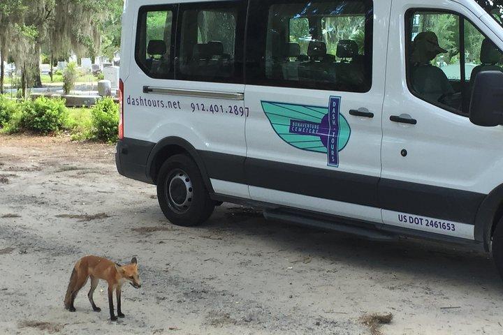 Bonaventure Cemetery Walking Tour with Transportation