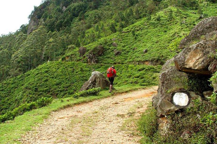 Horton Plains National Park Tour With Scenic Train Ride