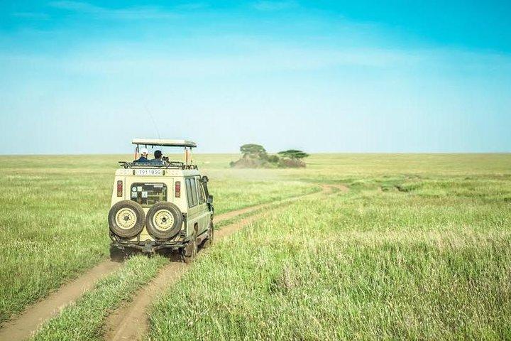 2 days Safari to Lake Manyara and Ngorongoro crater