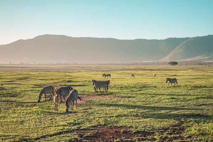 2 days Safari to Lake Manyara and Ngorongoro crater
