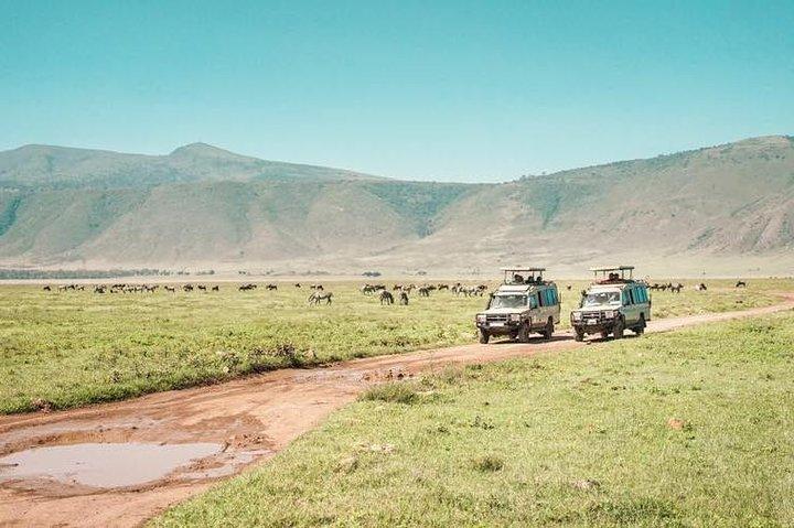 2 days Safari to Lake Manyara and Ngorongoro crater