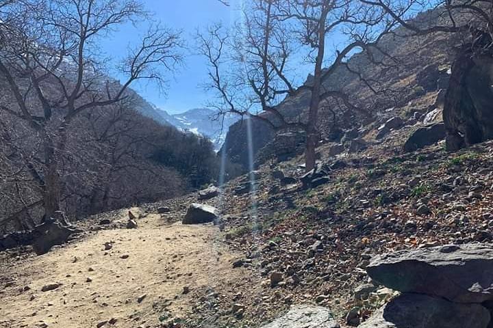 From Marrakech: Day Trip To The Atlas Mountains & Waterfalls