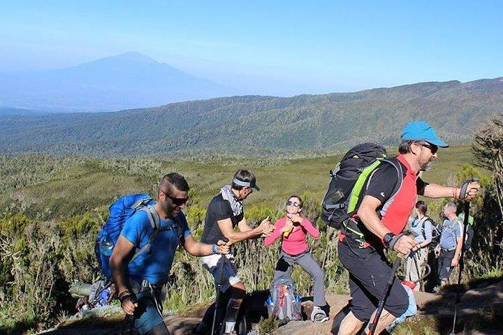 Day trip in Kilimanjaro National Park