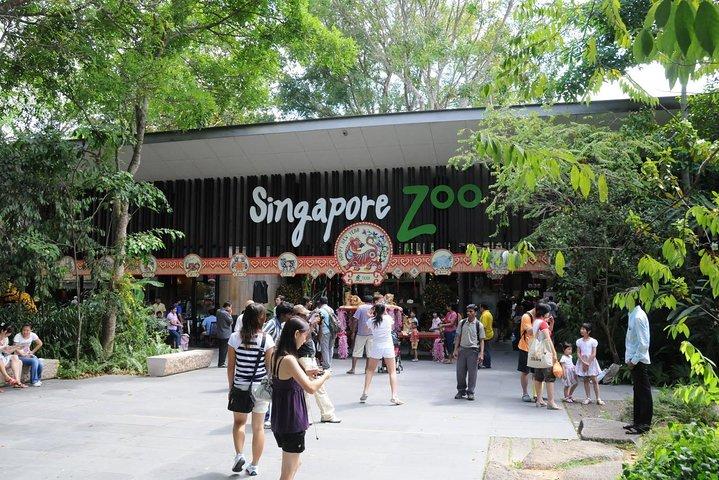 1 Day 2 Attraction Pass ( Tickets & transfer )