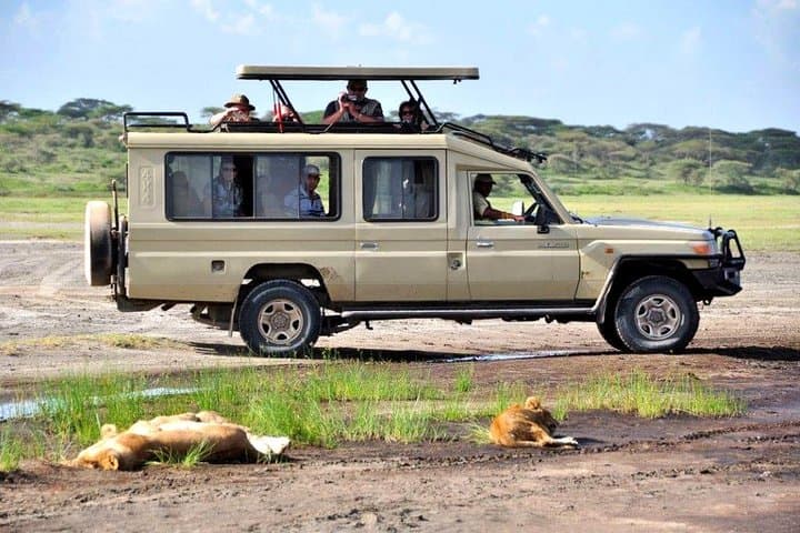 Half Day Nairobi National Park Guided Tour From Nairobi