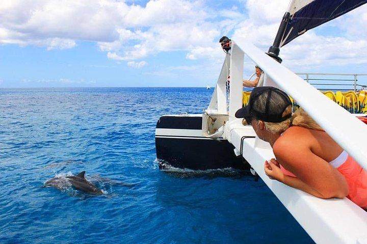 Ko Olina Catamaran Sail and Snorkel with Lunch
