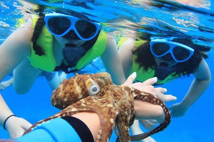 Ko Olina Catamaran Sail and Snorkel with Lunch