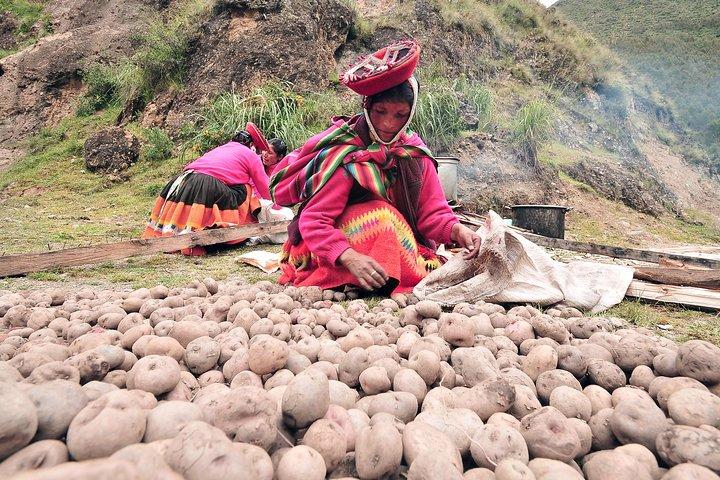 Sacred Valley to Machu Picchu Superior