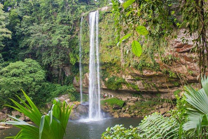 Waterfalls Agua Azul and Misol-ha