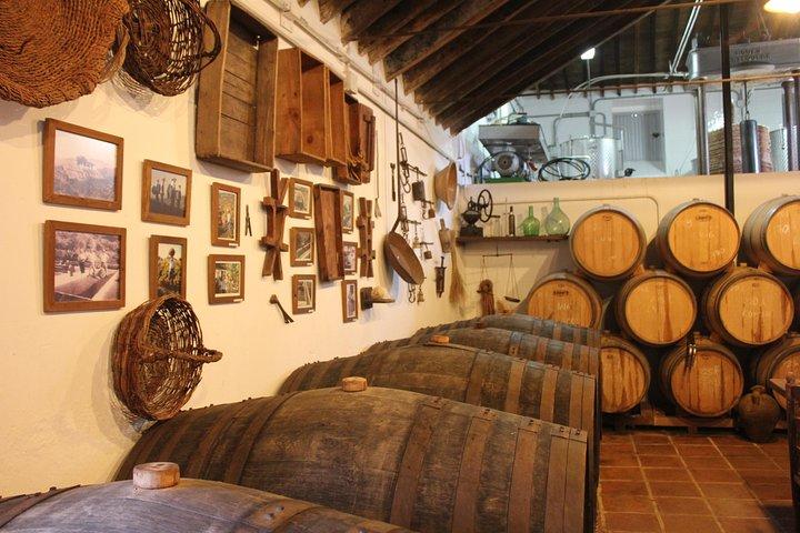 Sun and Wine Route - Small group, wine tasting and tapas included