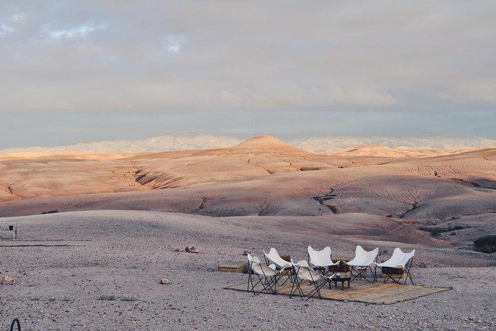 Camel ride in the desert of Agafay