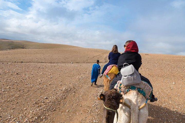 Camel ride in the desert of Agafay