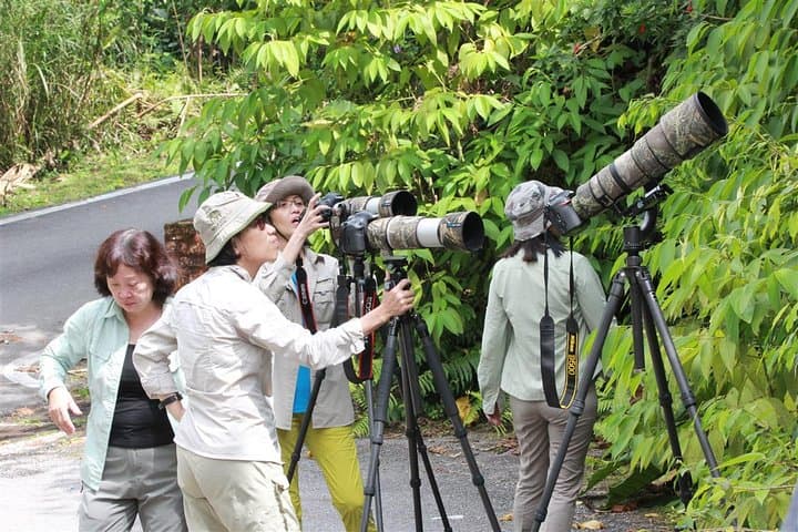 Fraser’s Hill Bird Watching & Nature Tour from Kuala Lumpur