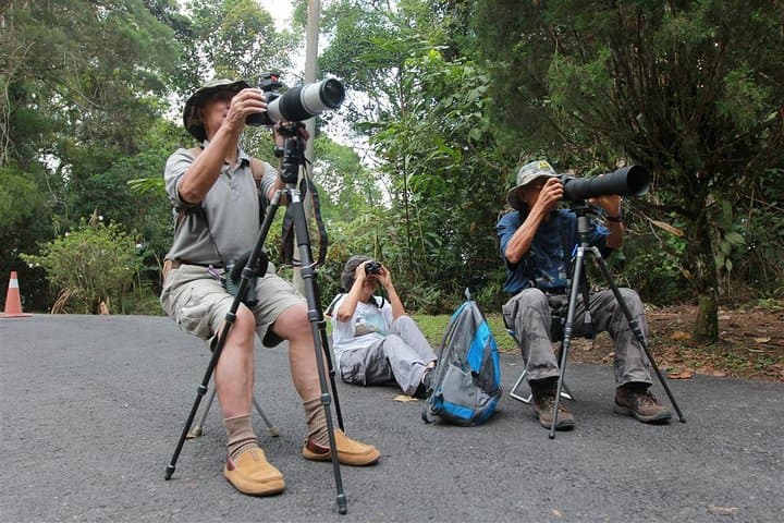 Fraser’s Hill Bird Watching & Nature Tour from Kuala Lumpur