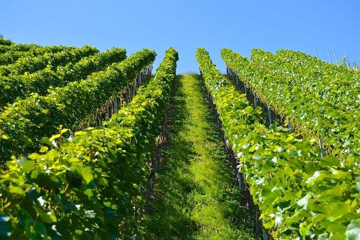 Historic Athens & Wine Tour in Nemea in 8hrs