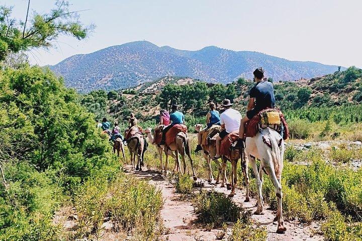 Atlas Mountains and Camel Ride Day Trip From Marrakech