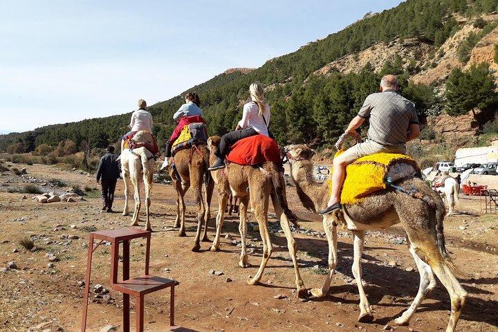 Atlas Mountains and Camel Ride Day Trip From Marrakech