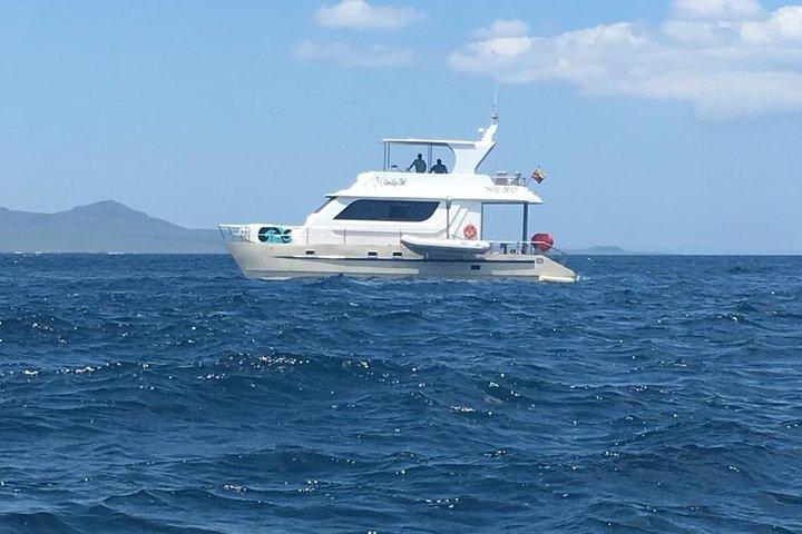 Sleeping Lion Snorkeling Tour