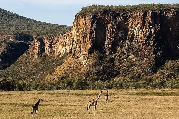 Day trip Hells gate Lake Naivasha best private safari