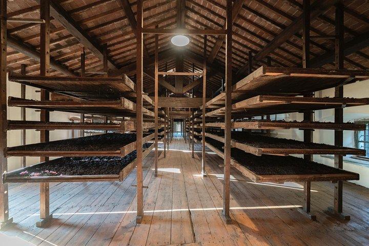 The Amarone Chateau guided tour and tasting in Valpolicella