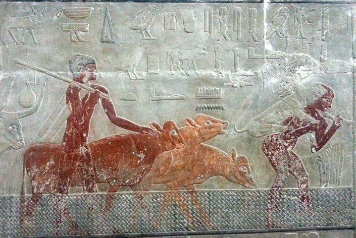 Full-day Tour of Saqqara & Dahshur Pyramids with Lunch