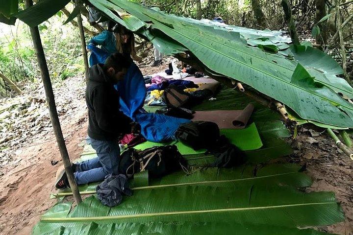 The Ultimate Hiker’s Choice - 5 days forest trek with homestay and camping