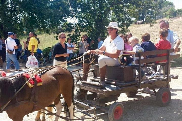 Tuscany Horse Riding & Wine Tasting Private Tour from Rome