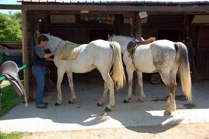 Tuscany Horse Riding & Wine Tasting Private Tour from Rome