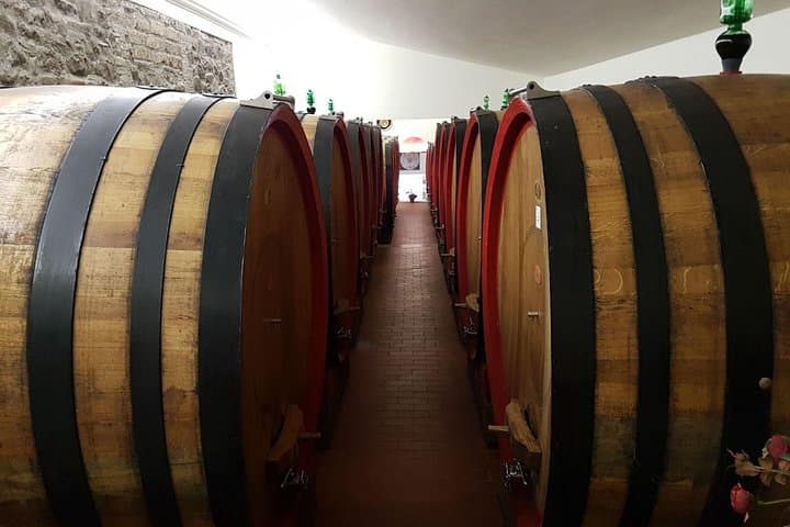 Tuscany Horse Riding & Wine Tasting Private Tour from Rome