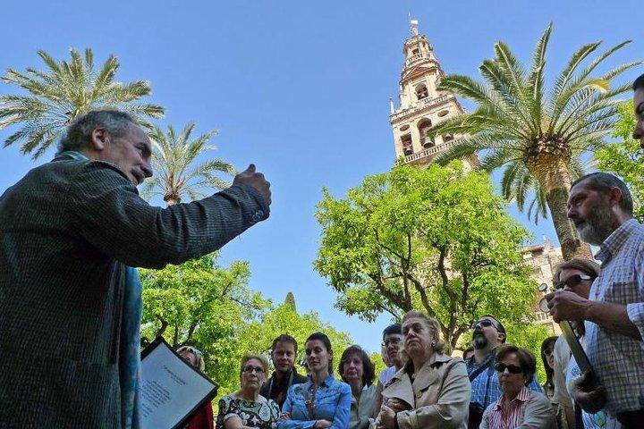 Cordoba with Mosque-Cathedral Private Tour from Granada