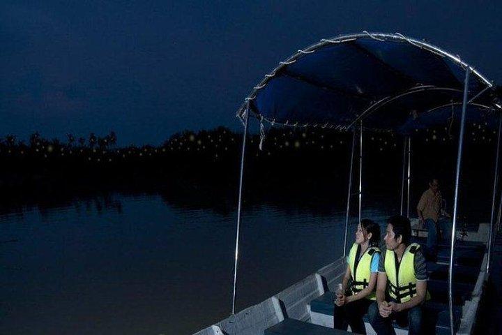 Kuala Selangor Firefly En-route Batu Caves Temple & Malawati Hill Day Tour With Sunset Dinner Sharing Basis SIC