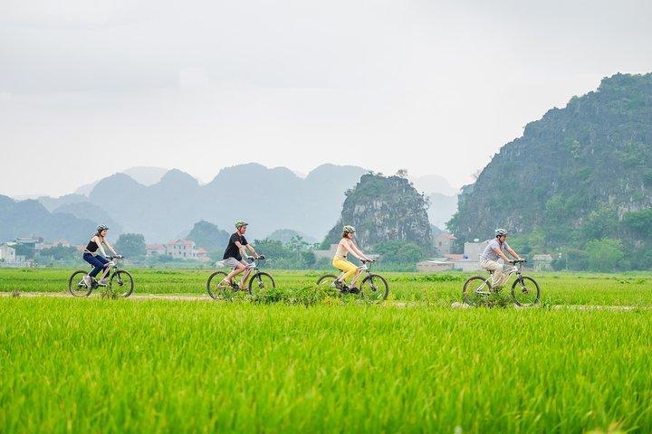 Ninh Binh Highlights Hoa Lu/Bai Dinh-Trang An/ Tam Coc- Mua Cave