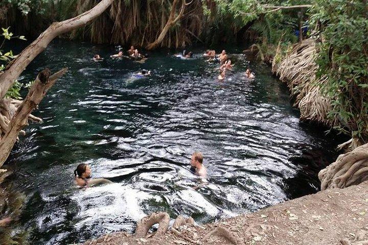 Kikuletwa (Chemka) Hot Springs Day Tour