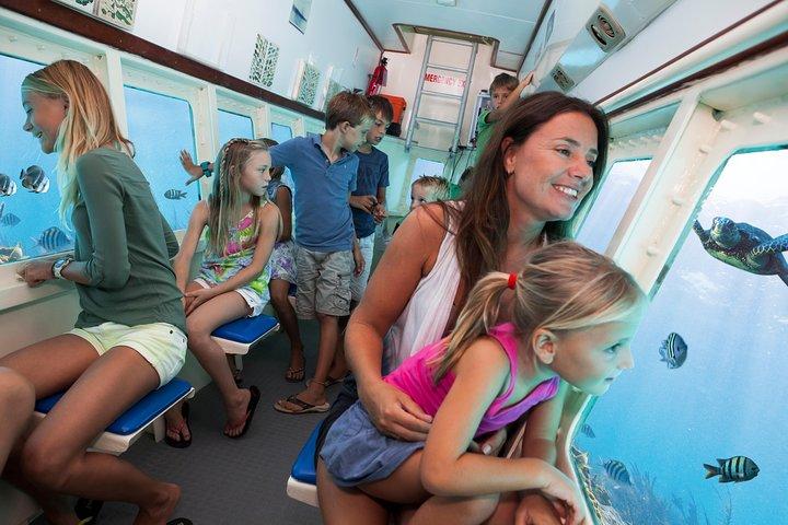 Aruba Semi-Submarine Cruise from Palm Beach