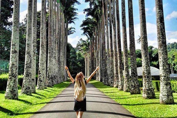 Beautiful Sri Lanka - 6 Days Tour (Colombo-Sigiriya-Kandy -Galle)