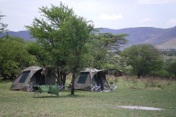 2-Day Safari toTarangire & Ngorongoro Crater