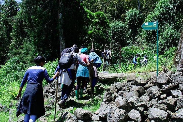 1 Day Mount Bisoke Hike Adventure Tour in Volcanoes National Park