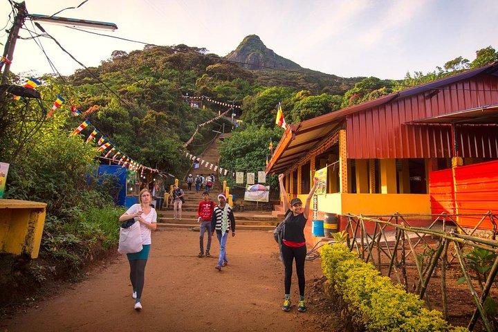 Visit Adam's Peak from Colombo