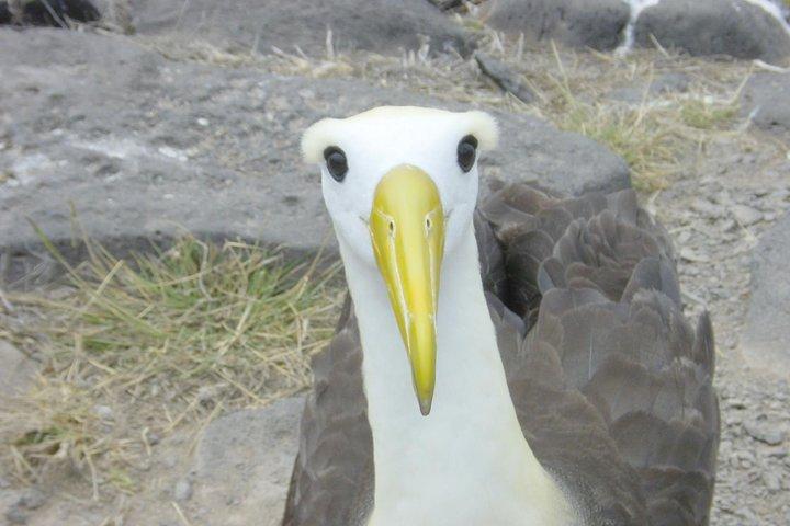 Visit to Spanish island * (San Cristobal) *
