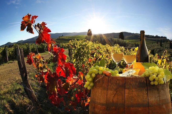 Bella Toscana - San Gimignano plus 2 Chianti Wineries and lunch
