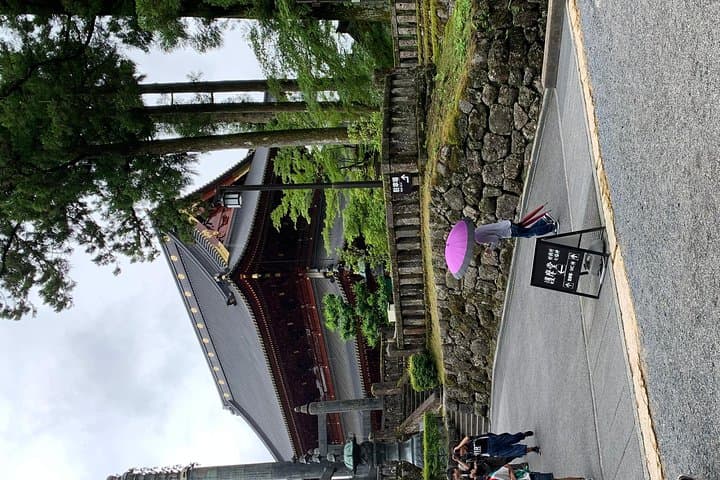 Nikko one day trip GREEN NUMBER PLATES